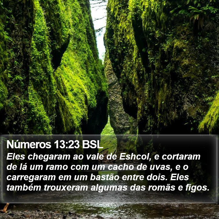 Números 13:23 BSL Bible Study