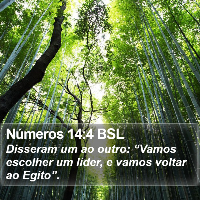 Números 14:4 BSL Bible Study