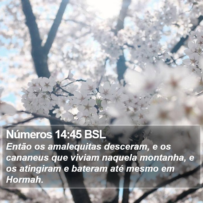 Números 14:45 BSL Bible Study