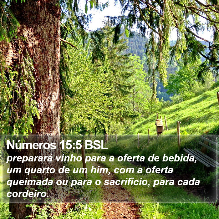 Números 15:5 BSL Bible Study