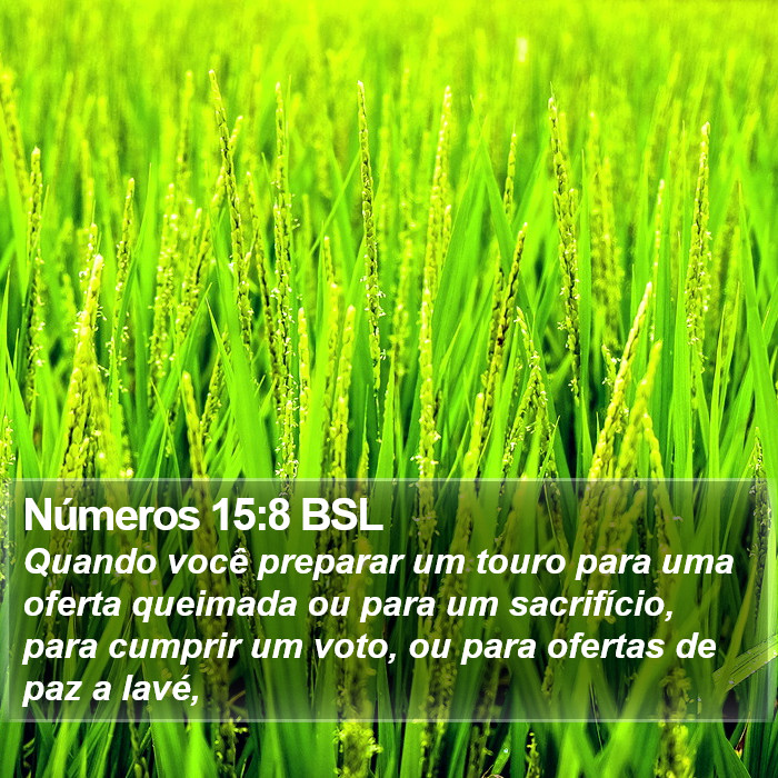 Números 15:8 BSL Bible Study