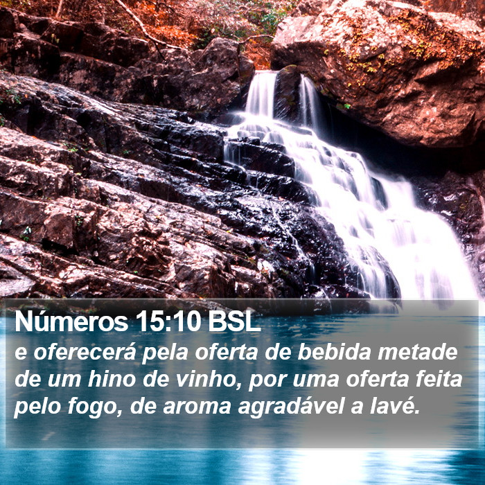 Números 15:10 BSL Bible Study