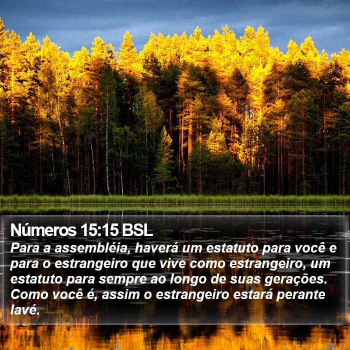 Números 15:15 BSL Bible Study