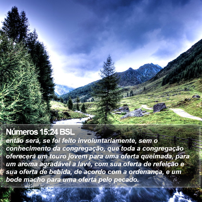 Números 15:24 BSL Bible Study