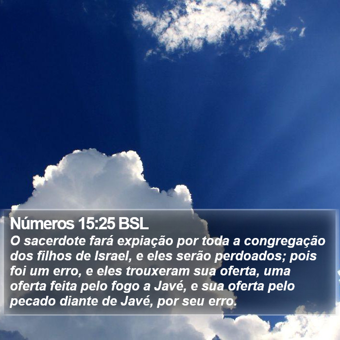 Números 15:25 BSL Bible Study