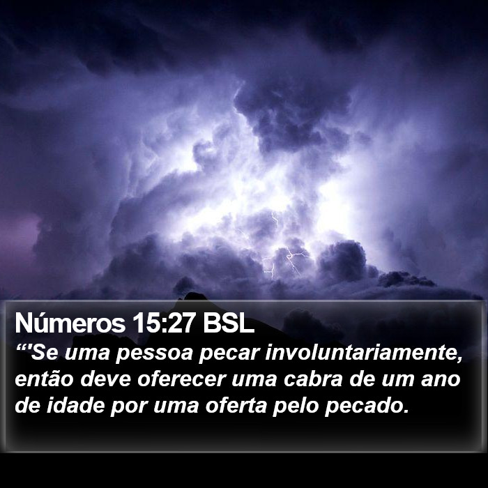 Números 15:27 BSL Bible Study