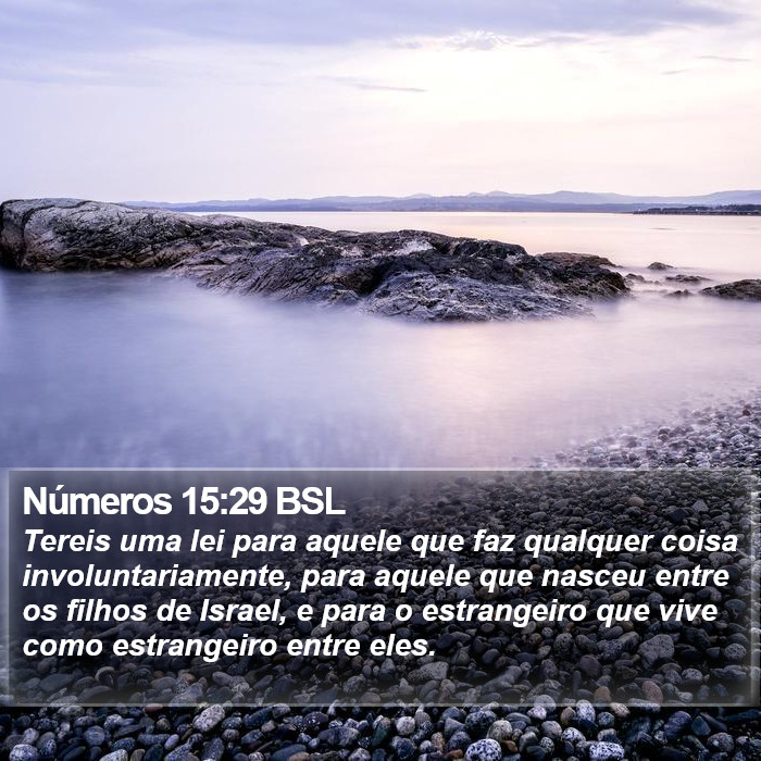 Números 15:29 BSL Bible Study