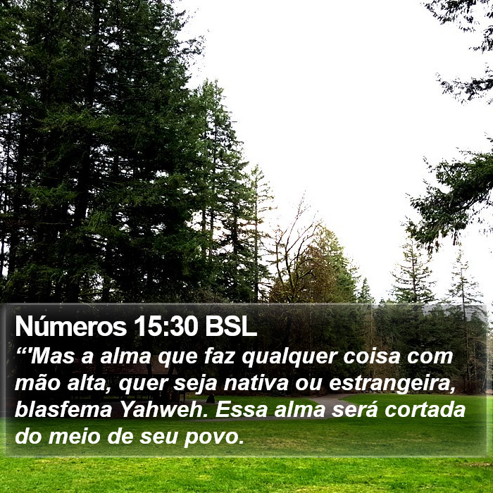 Números 15:30 BSL Bible Study