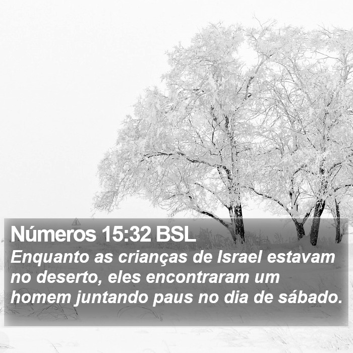 Números 15:32 BSL Bible Study