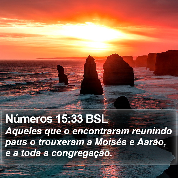 Números 15:33 BSL Bible Study