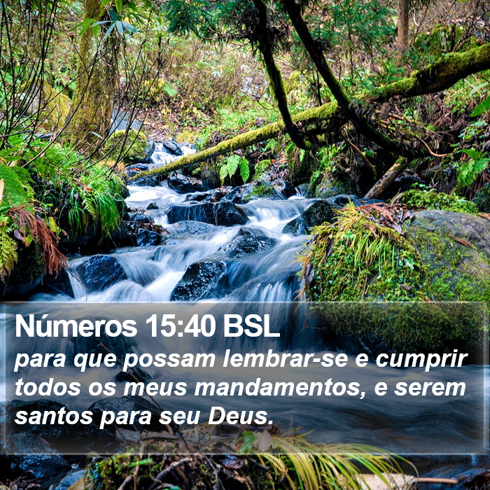 Números 15:40 BSL Bible Study