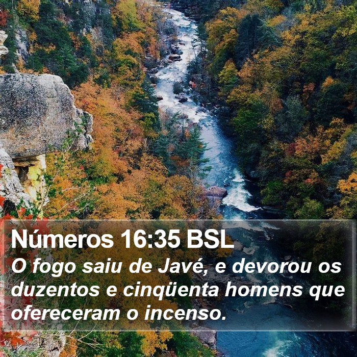 Números 16:35 BSL Bible Study