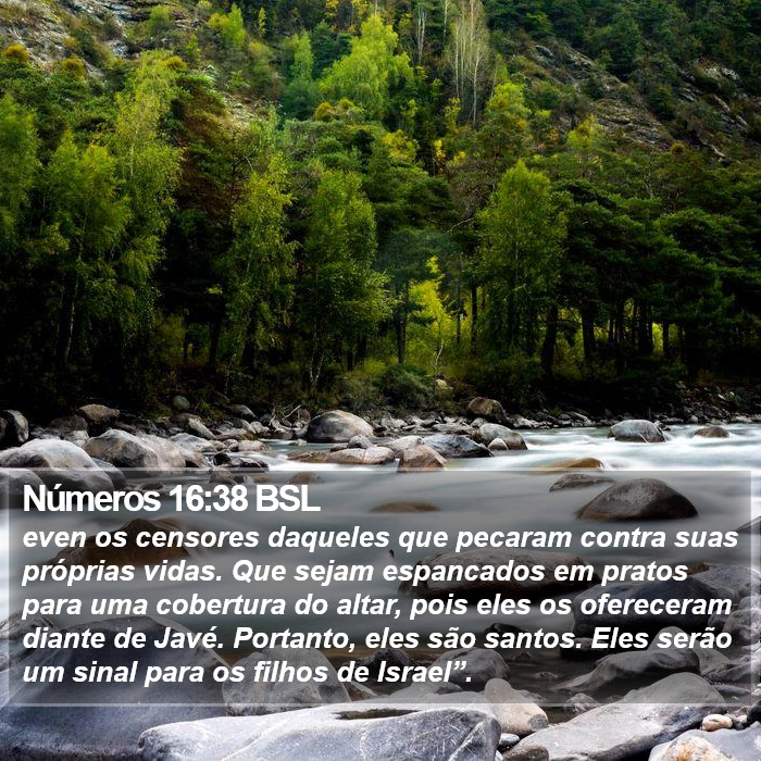 Números 16:38 BSL Bible Study