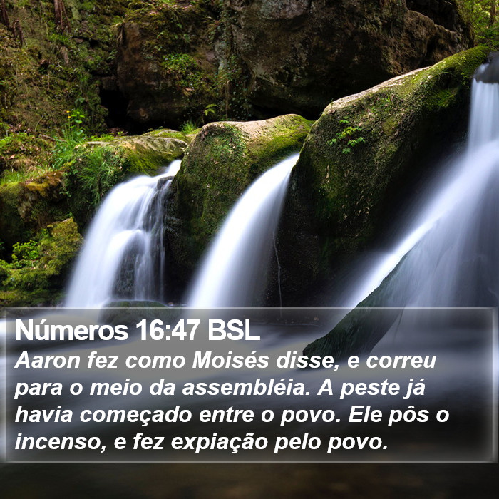 Números 16:47 BSL Bible Study