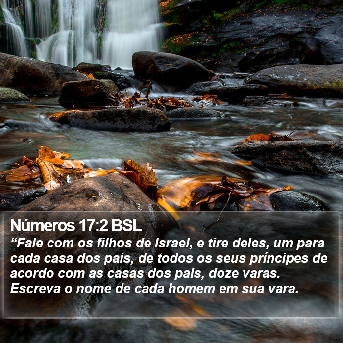 Números 17:2 BSL Bible Study