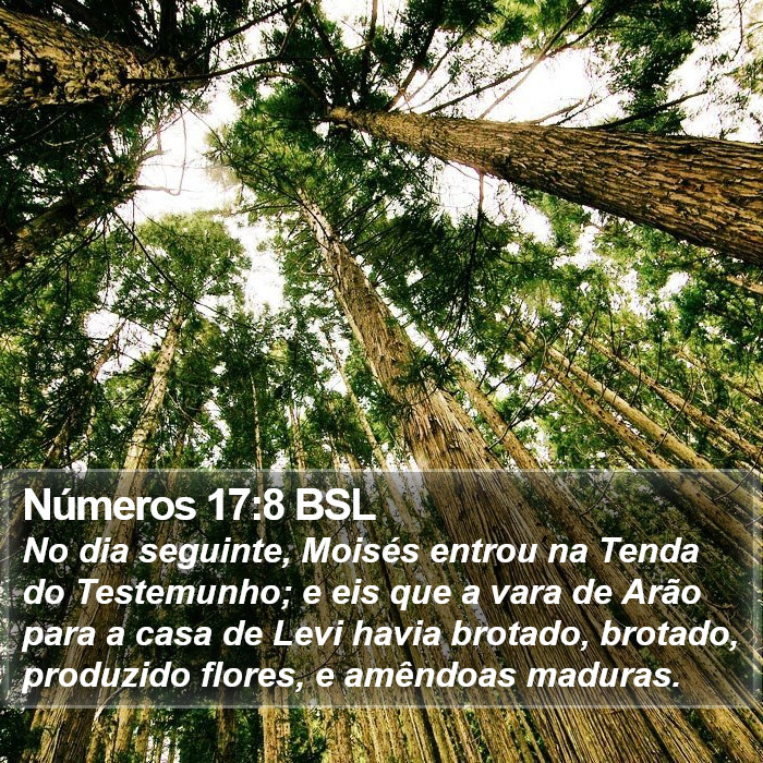 Números 17:8 BSL Bible Study