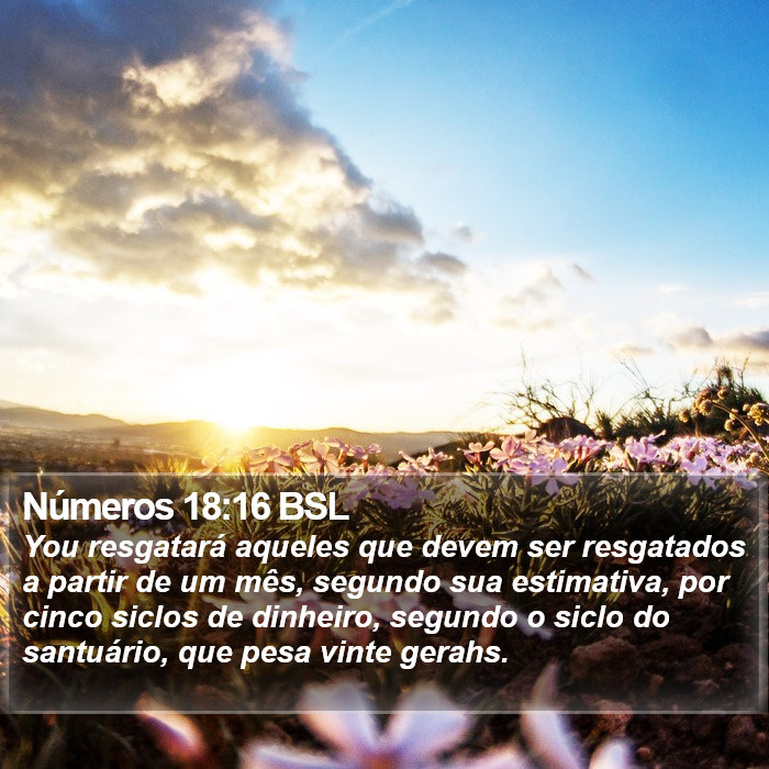 Números 18:16 BSL Bible Study
