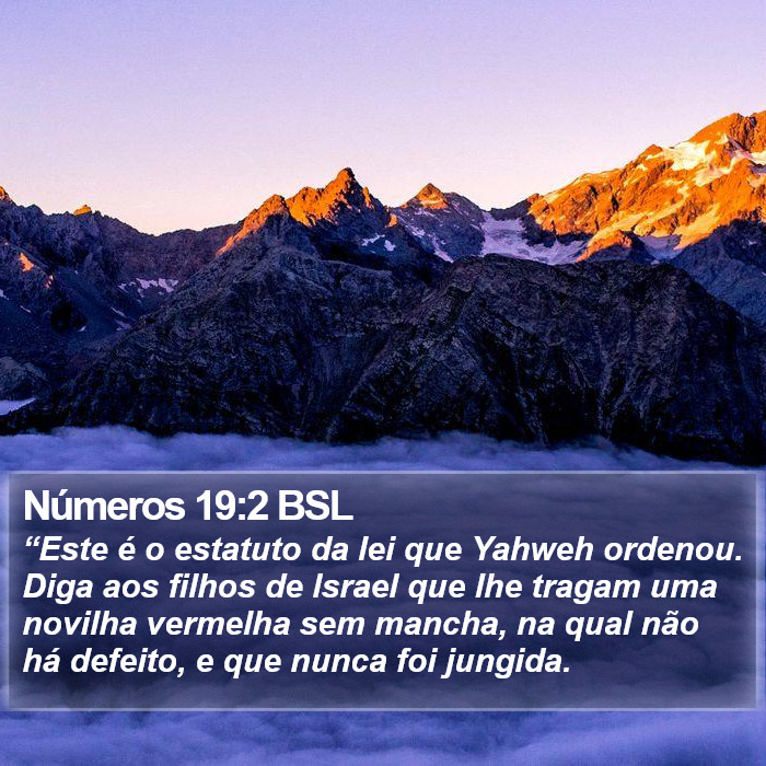 Números 19:2 BSL Bible Study