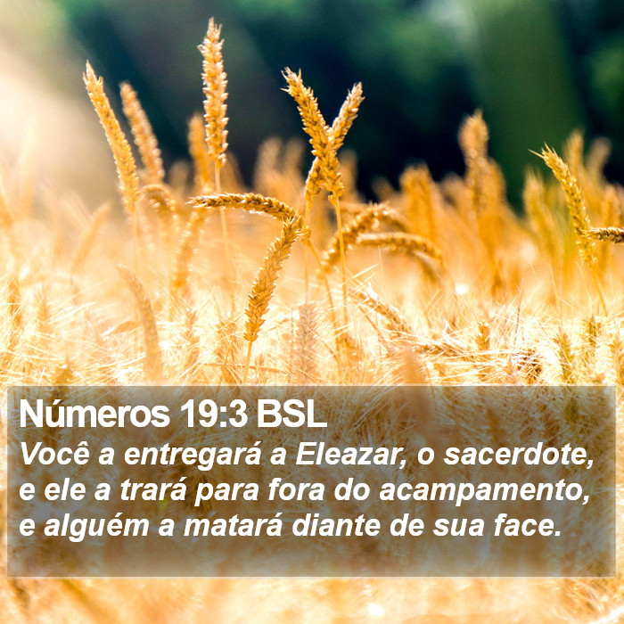 Números 19:3 BSL Bible Study