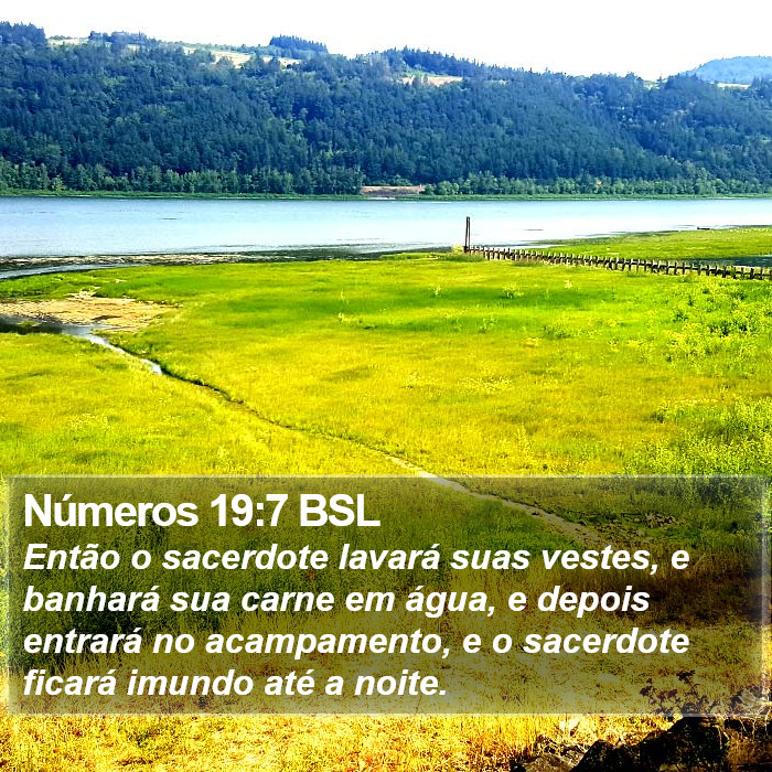 Números 19:7 BSL Bible Study