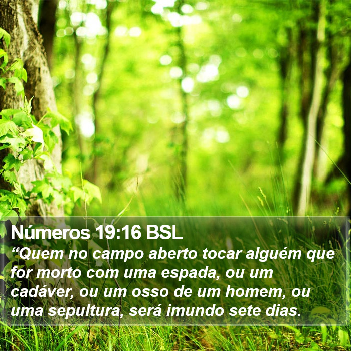 Números 19:16 BSL Bible Study