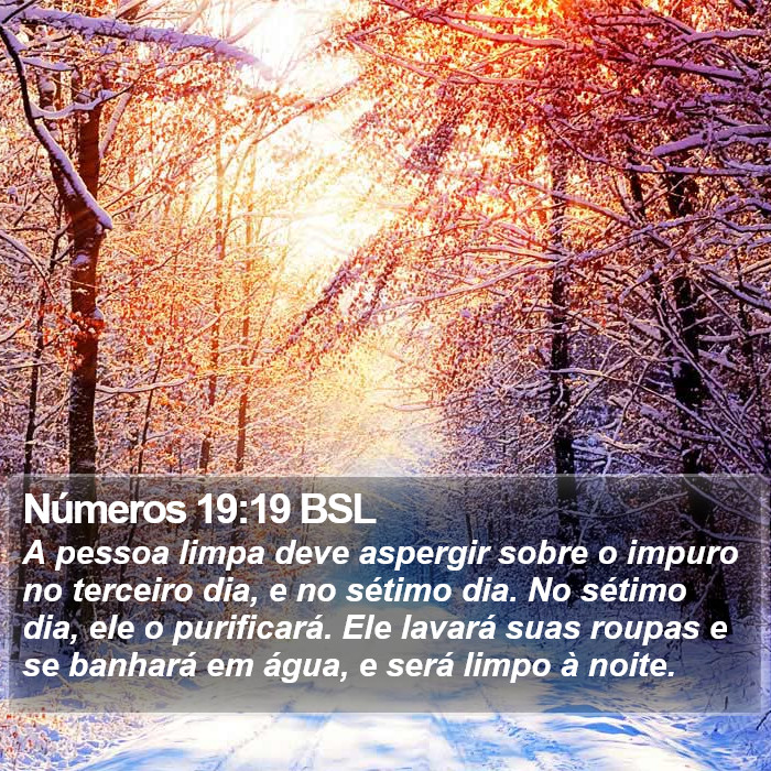 Números 19:19 BSL Bible Study