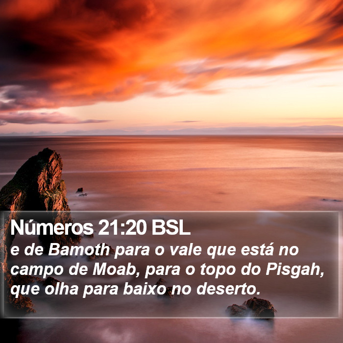 Números 21:20 BSL Bible Study