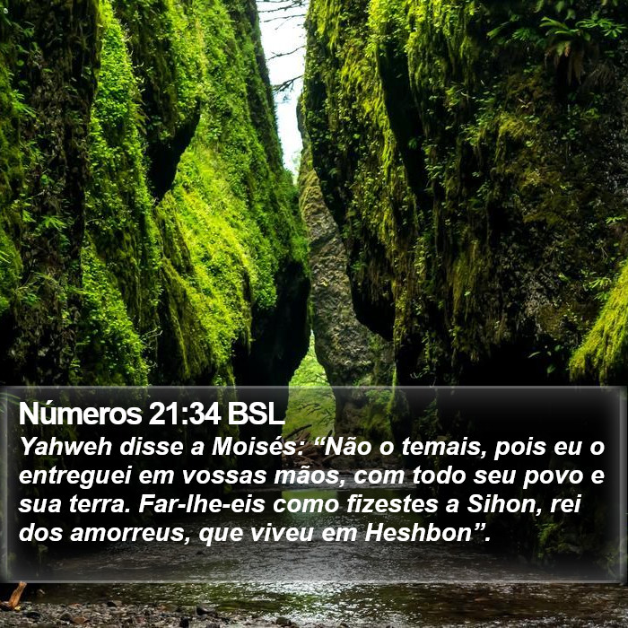 Números 21:34 BSL Bible Study