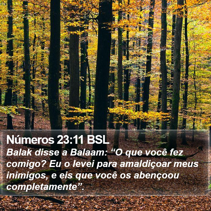 Números 23:11 BSL Bible Study