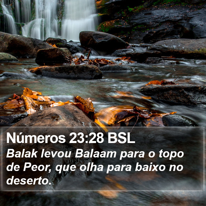 Números 23:28 BSL Bible Study