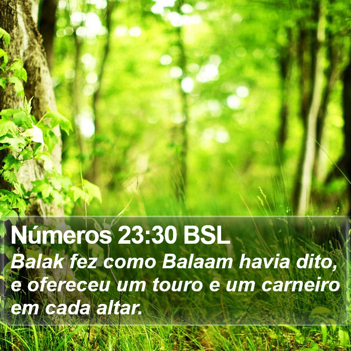 Números 23:30 BSL Bible Study