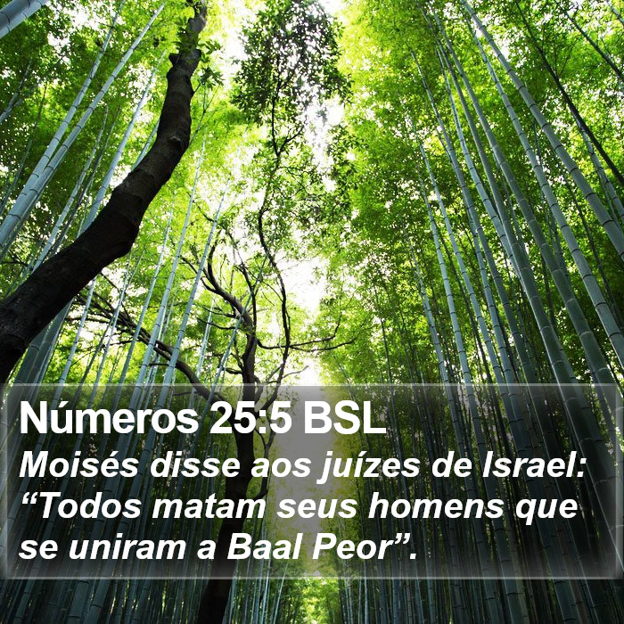 Números 25:5 BSL Bible Study