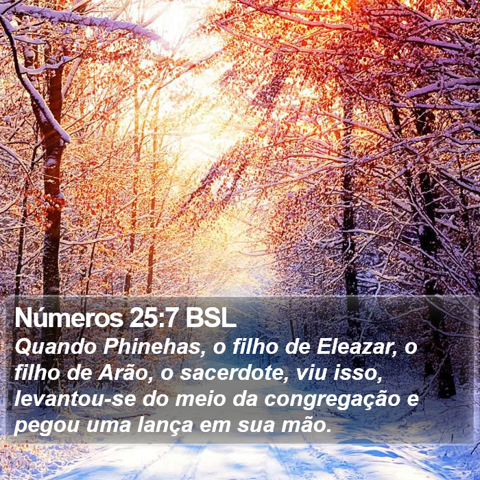 Números 25:7 BSL Bible Study