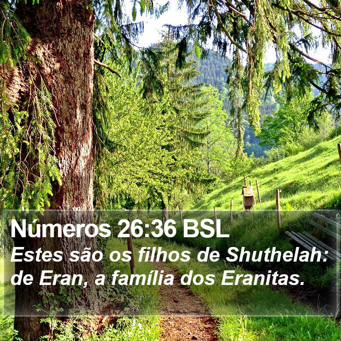 Números 26:36 BSL Bible Study