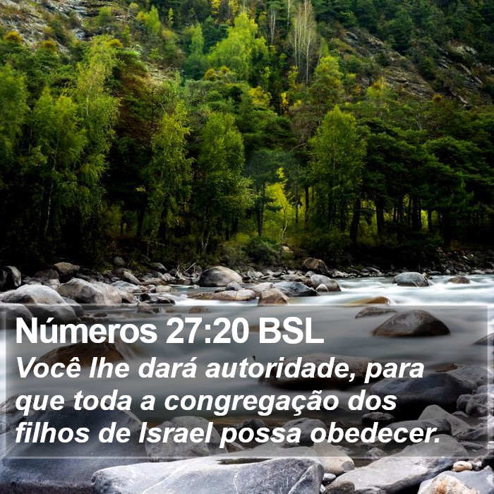 Números 27:20 BSL Bible Study