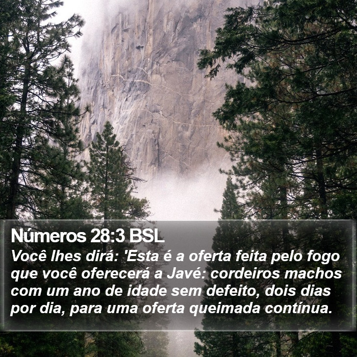Números 28:3 BSL Bible Study