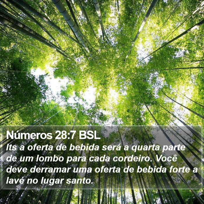 Números 28:7 BSL Bible Study