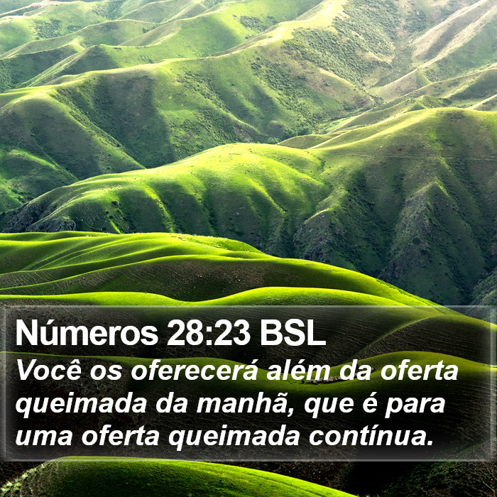 Números 28:23 BSL Bible Study