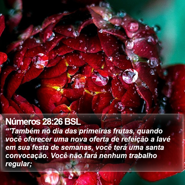 Números 28:26 BSL Bible Study