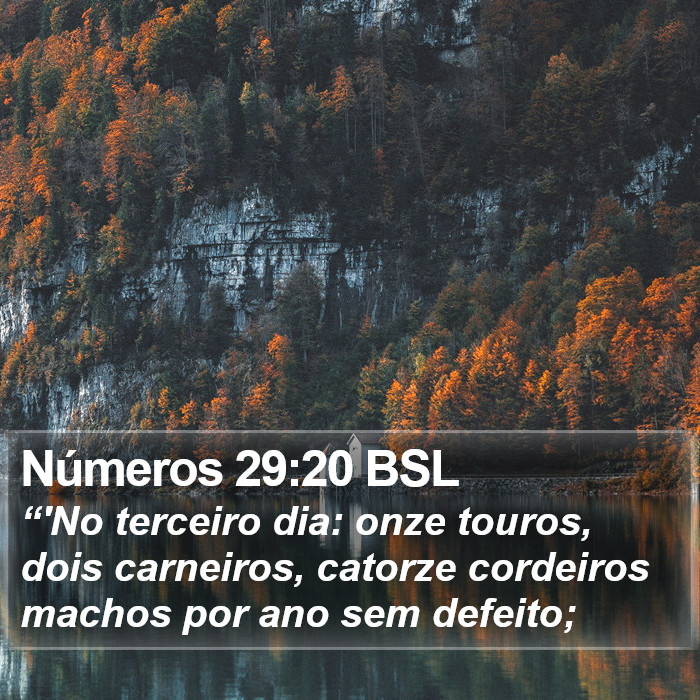 Números 29:20 BSL Bible Study