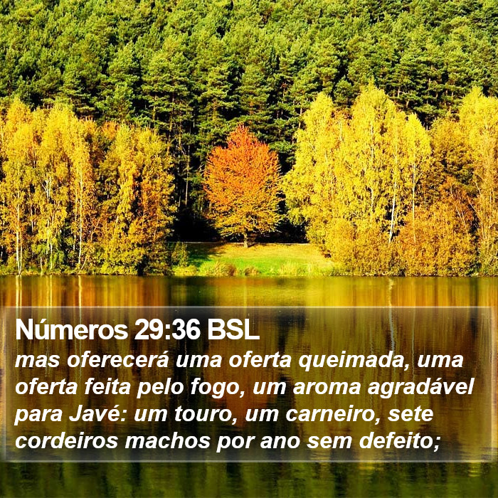 Números 29:36 BSL Bible Study