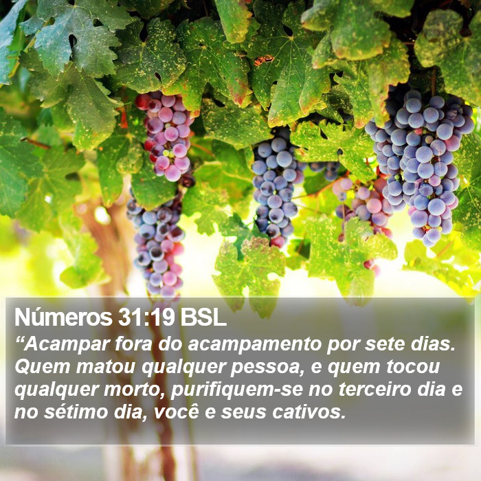 Números 31:19 BSL Bible Study