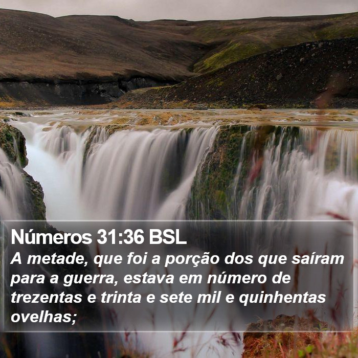 Números 31:36 BSL Bible Study