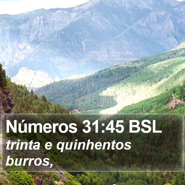 Números 31:45 BSL Bible Study