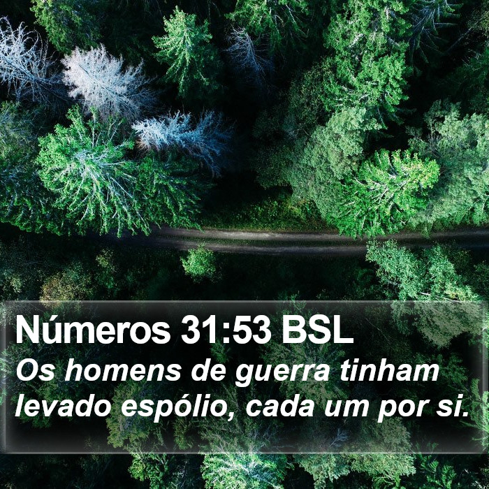 Números 31:53 BSL Bible Study