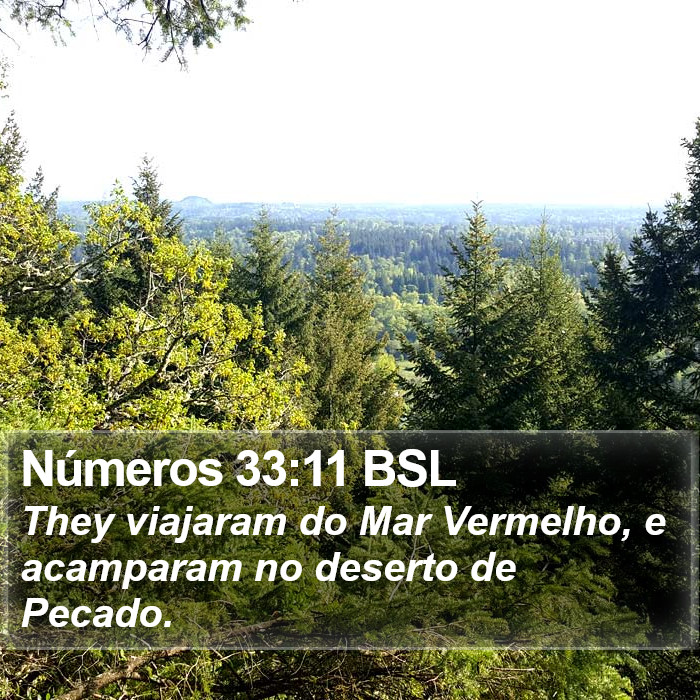 Números 33:11 BSL Bible Study