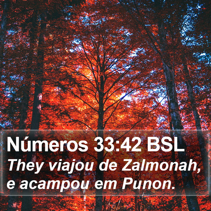 Números 33:42 BSL Bible Study