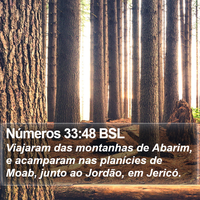 Números 33:48 BSL Bible Study