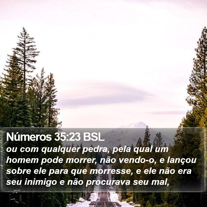 Números 35:23 BSL Bible Study