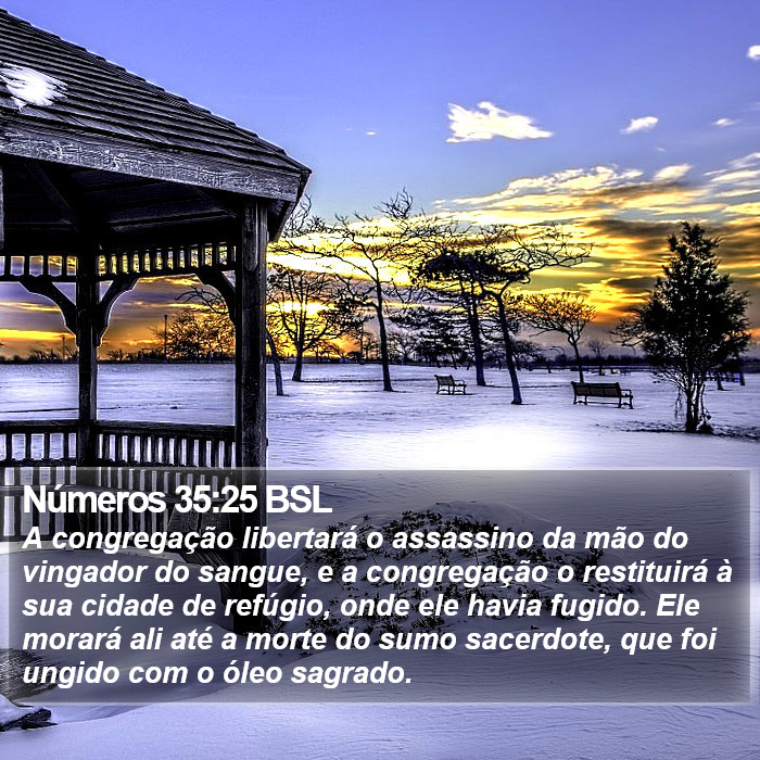 Números 35:25 BSL Bible Study